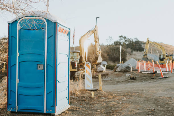 Best Porta potty rental for festivals  in Bridgman, MI